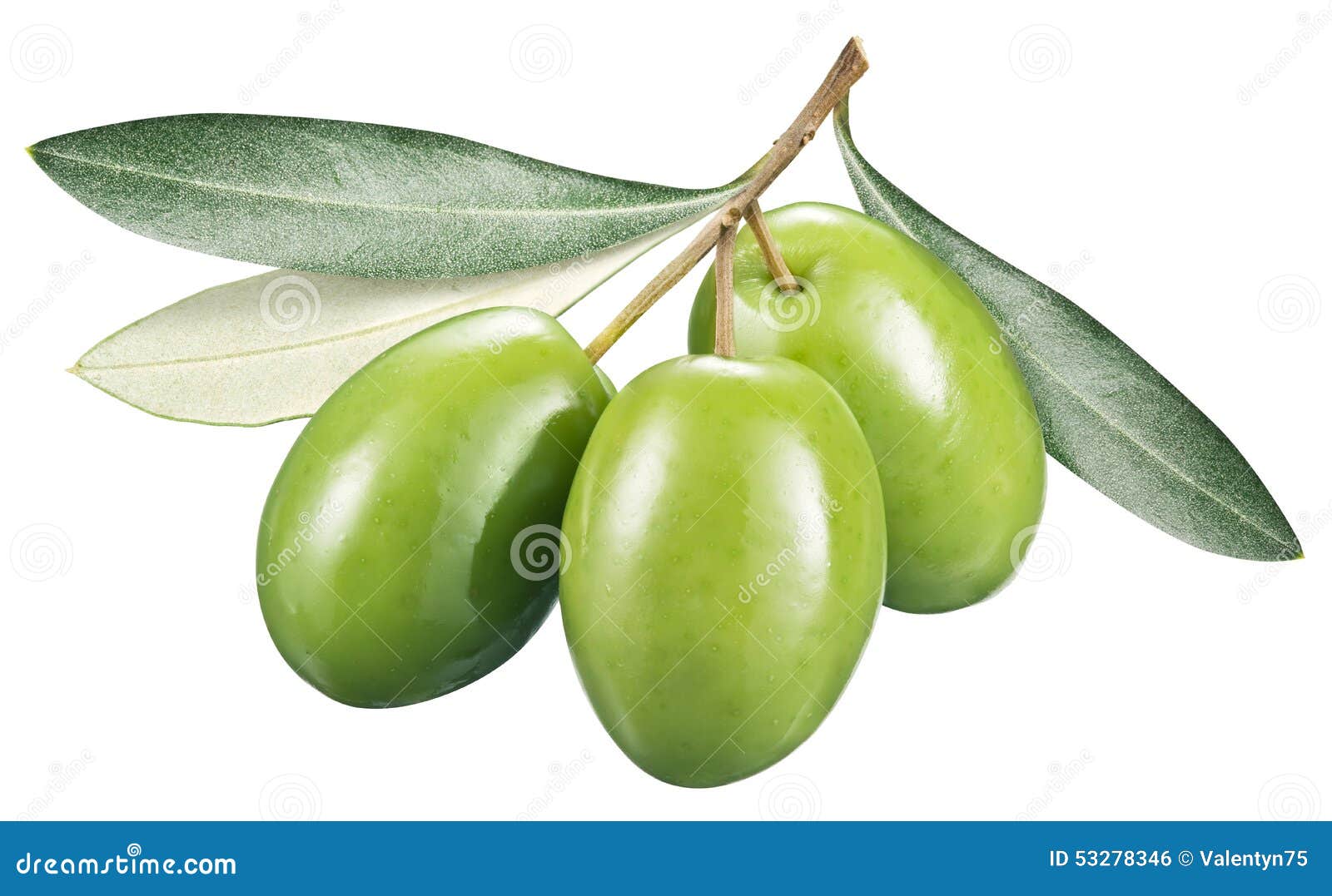 Olives On White Stock Photo - Download Image Now - Olive - Fruit