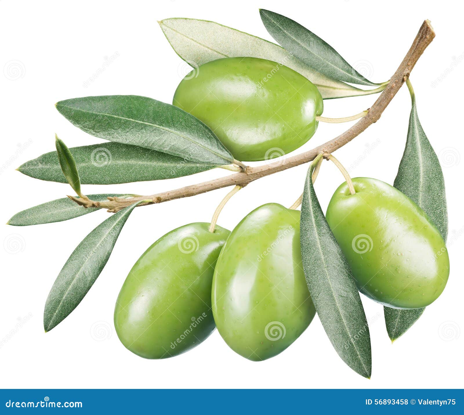 Olives On White Stock Photo - Download Image Now - Olive - Fruit