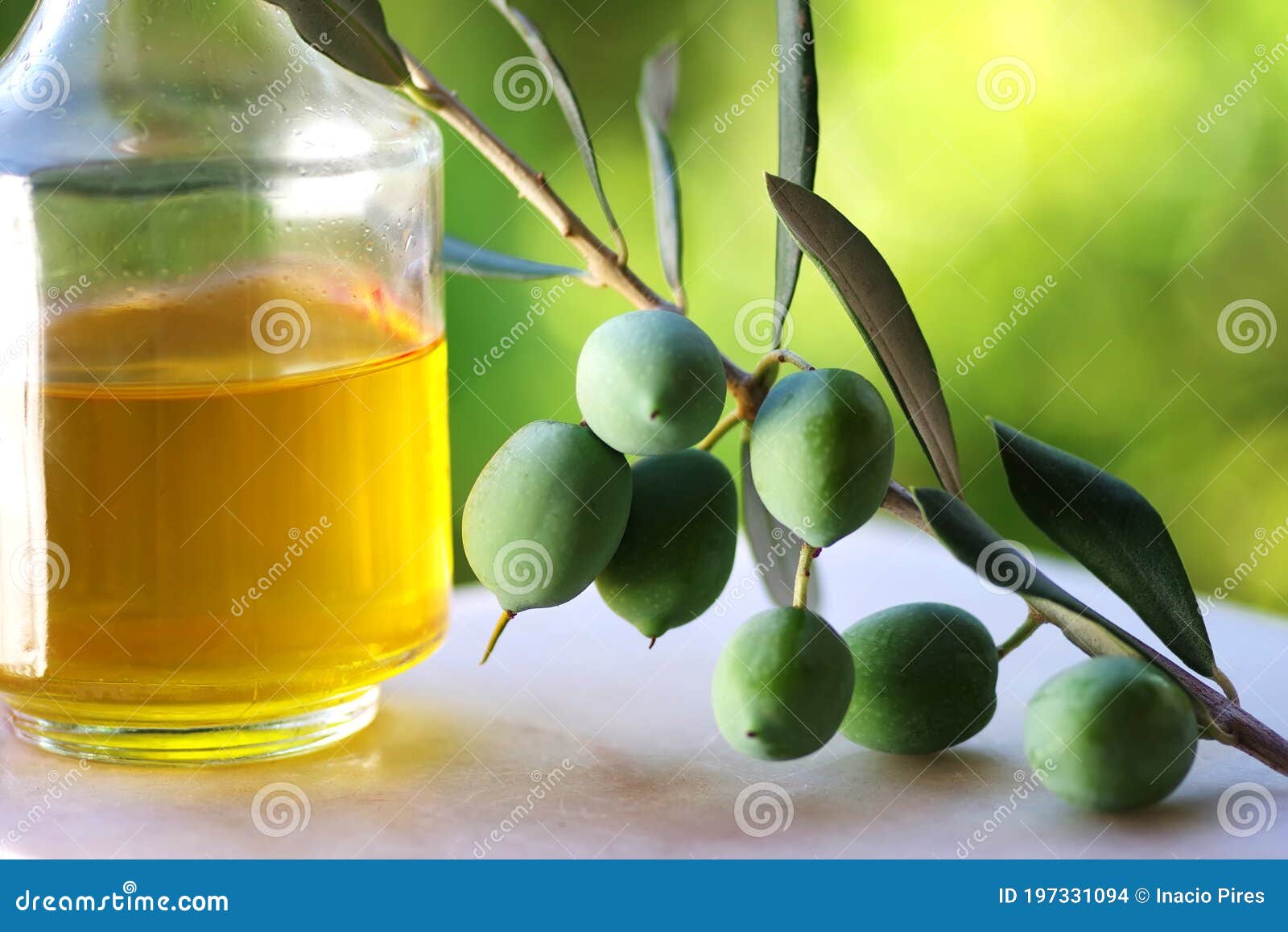 Green olives and olive oil stock photo. Image of harvest 197331094