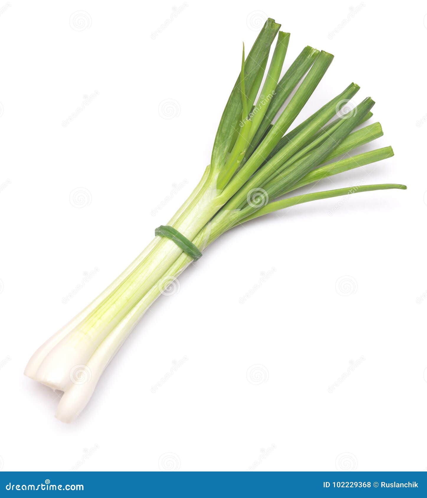 Green onion stock photo. Image of diet, closeup, onion 102229368