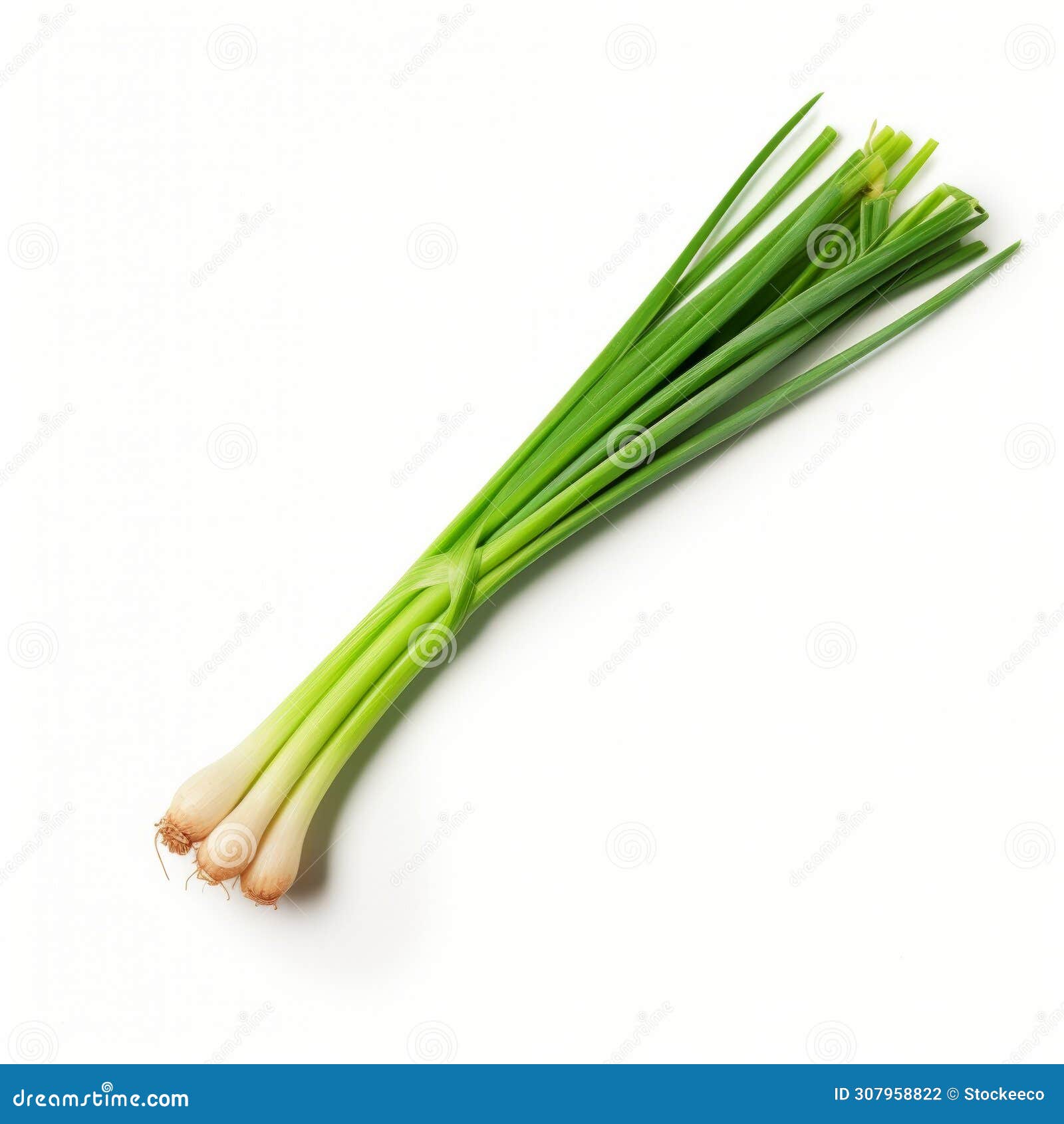 minimalist green onion: xbox 360 graphics inspired