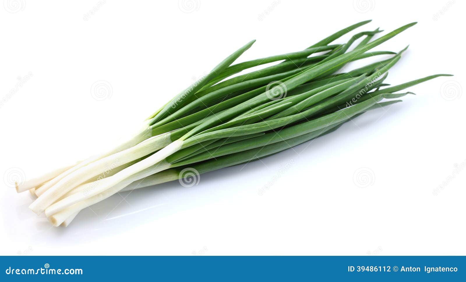 Green onion stock photo. Image of vegetarian, seasoning 39486112