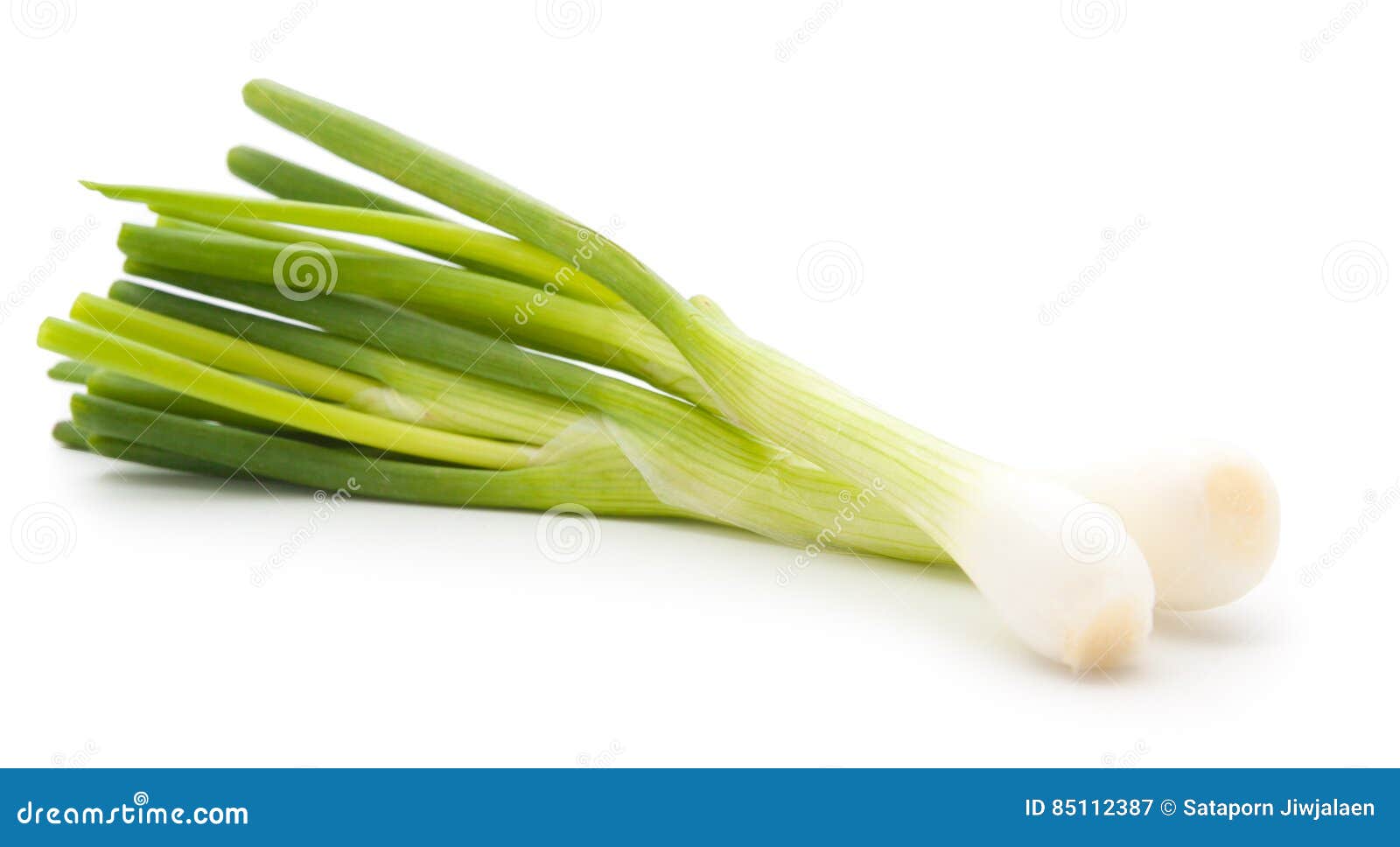 Green onion on the white stock image. Image of vegetable 85112387