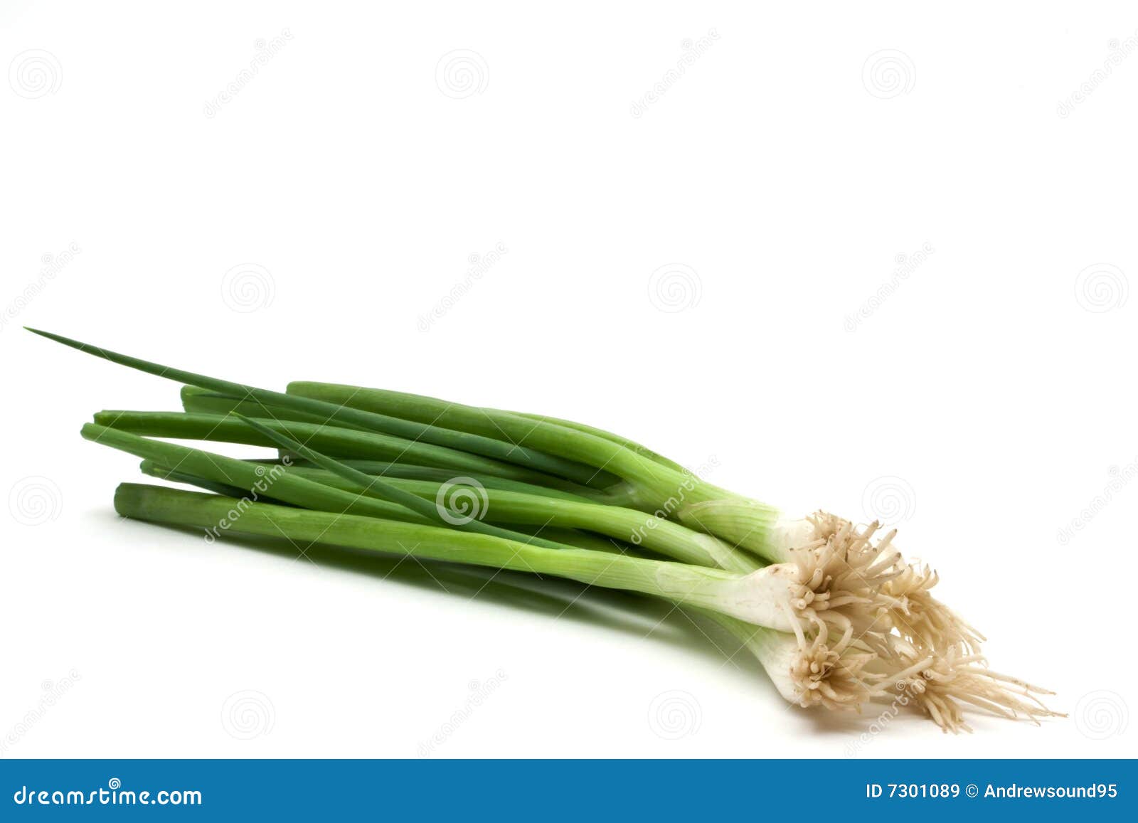Green onions stock image. Image of healthy, organic, onions 7301089