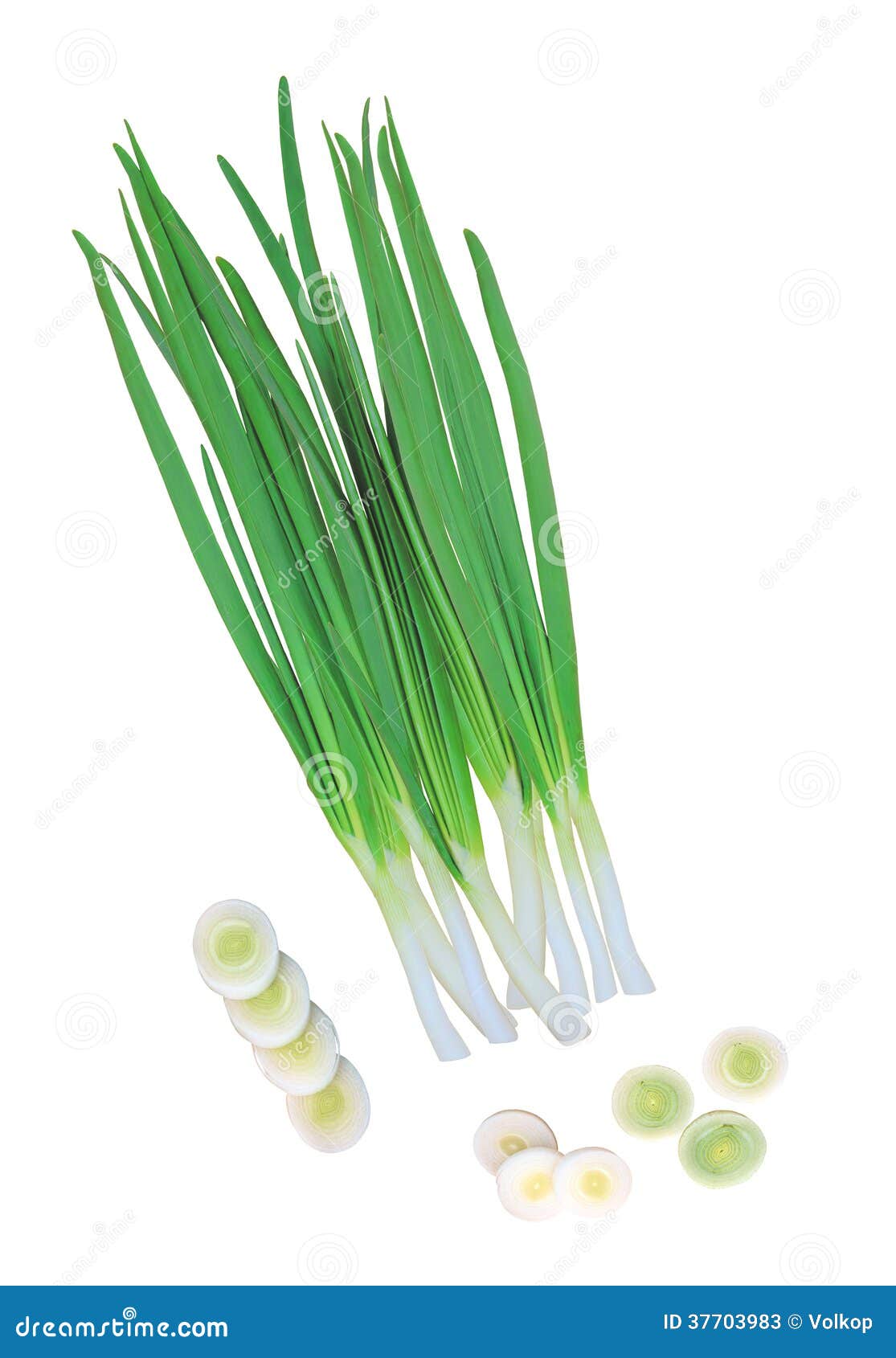Green Onions Isolated on White Stock Image Image of vegetarian