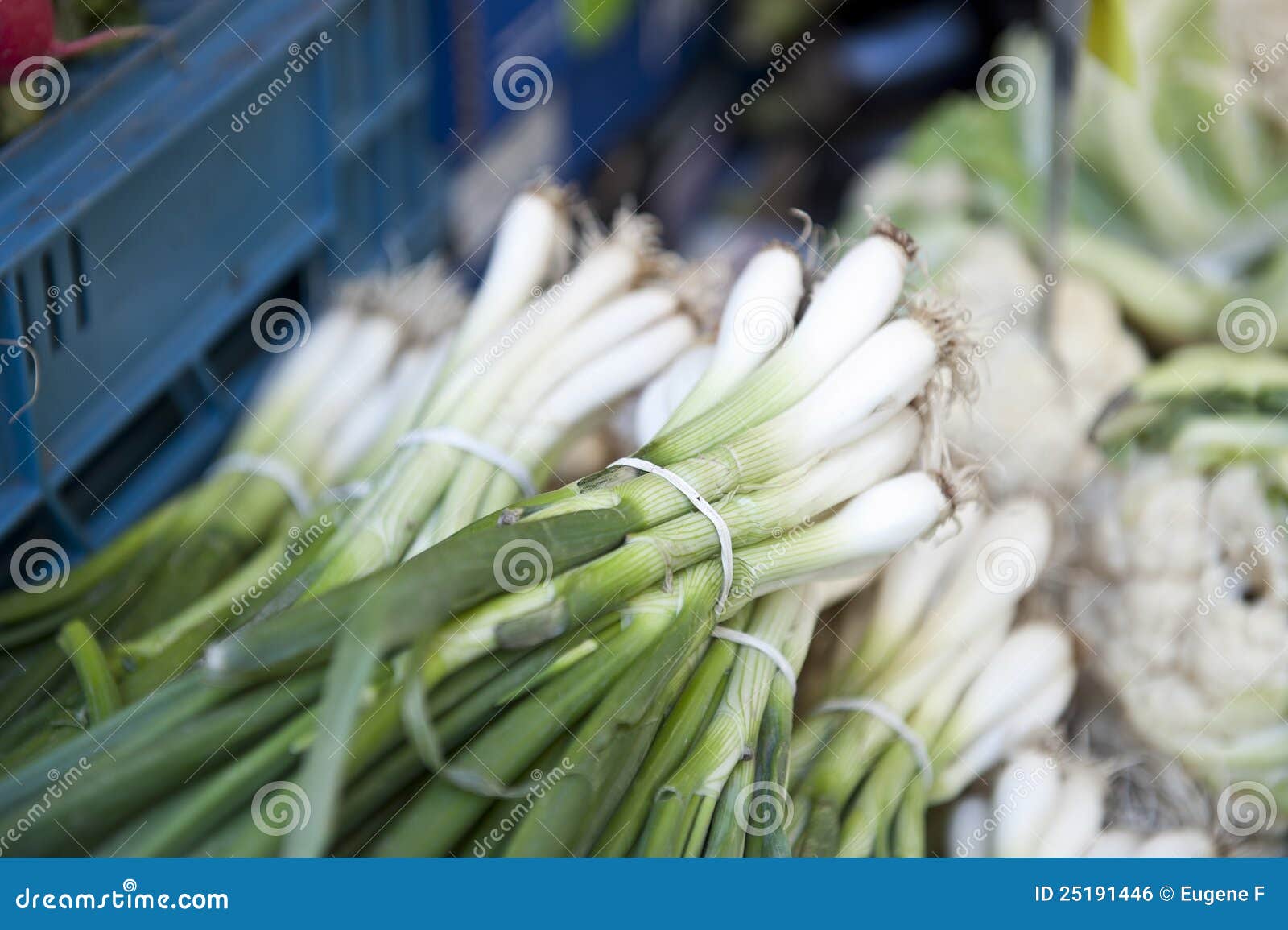 Green Onions Stalk stock photo. Image of textures, healthy 25191446