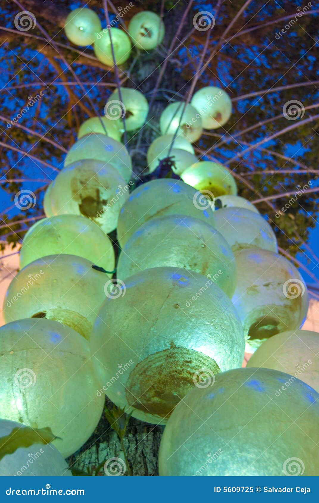 Green orbs stock image. Image of ball, decorative, bulbs 5609725
