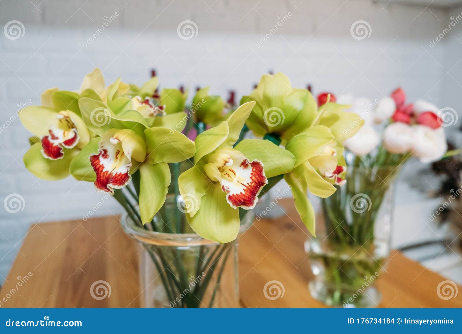 Green Orchid Bouquet Close Up Flower Arrangement In The Shop Gorgeous Green Cymbidium Orchid Plant Cymbidium Orchid Bunch Stock Photo Image Of Love Blossoms 176734184