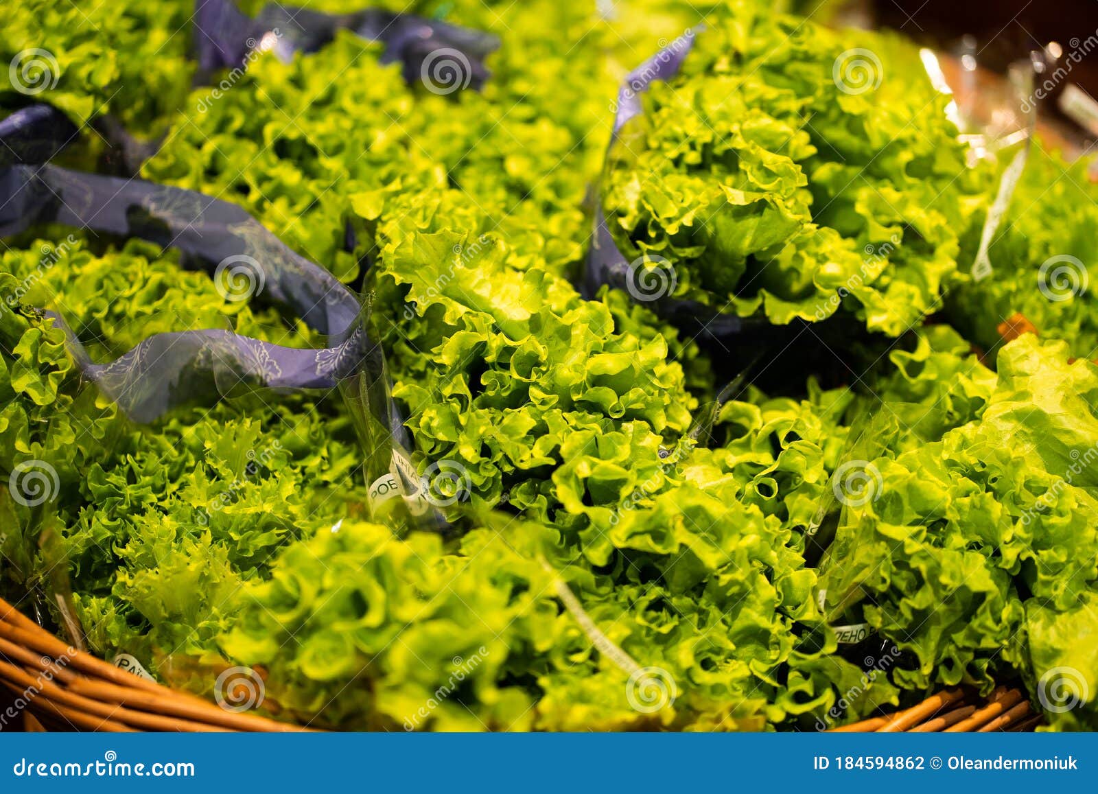 Green Organic Hydroponic Iceberg Lettuce Isolated . Organic Iceberg ...