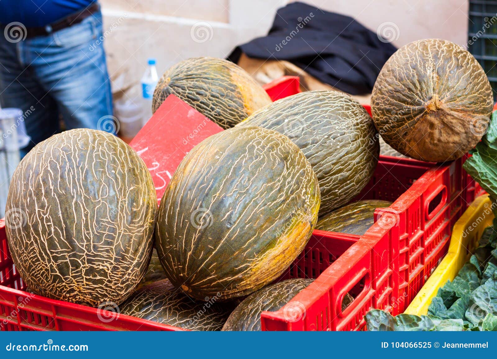 green oval santa claus melons also known as `piel de sapo` `toad skin` melons for sale at sineu market, majorca