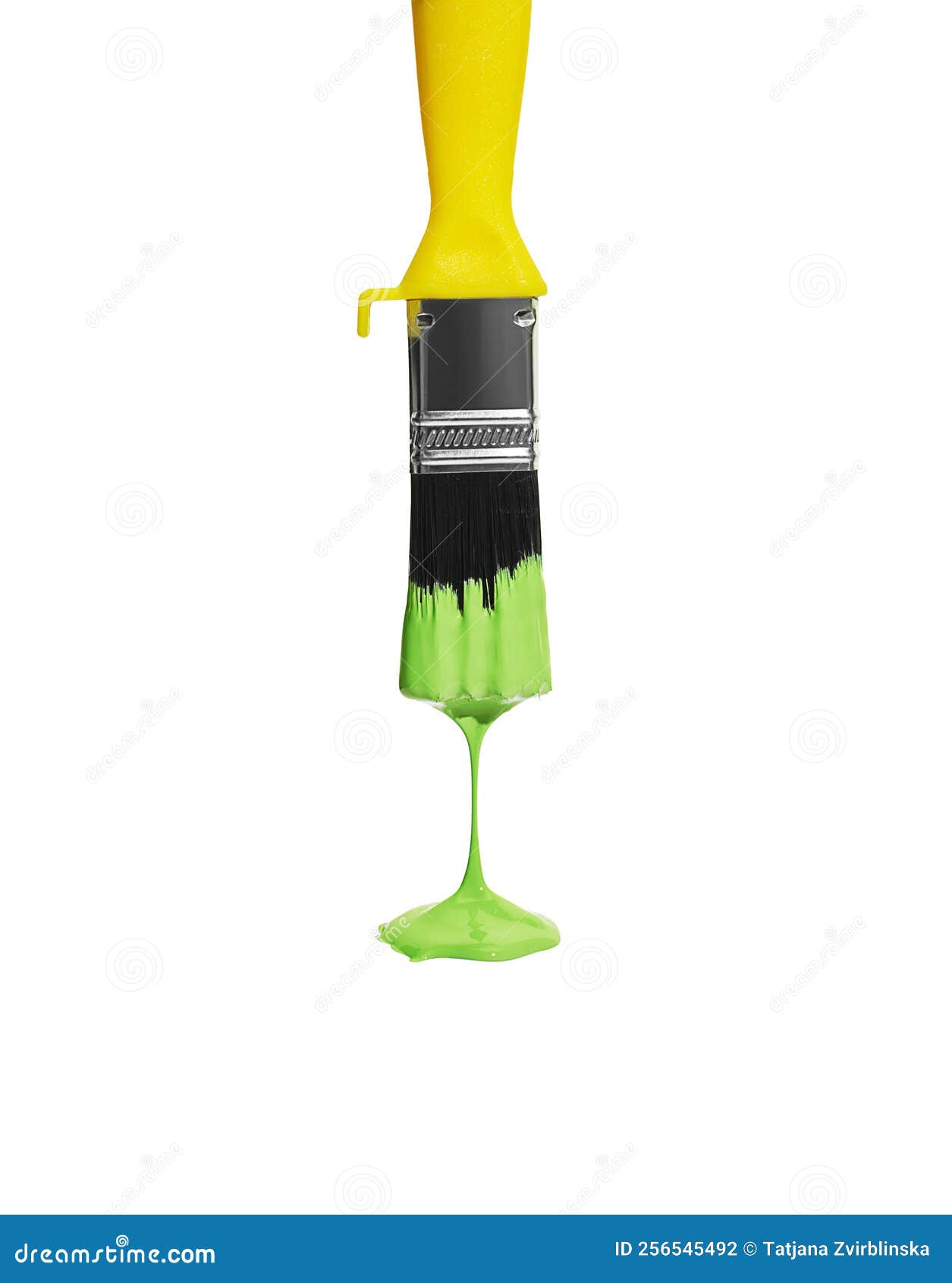 Green Paint Dripping from the Yellow Brush, Isolated on White. Stock