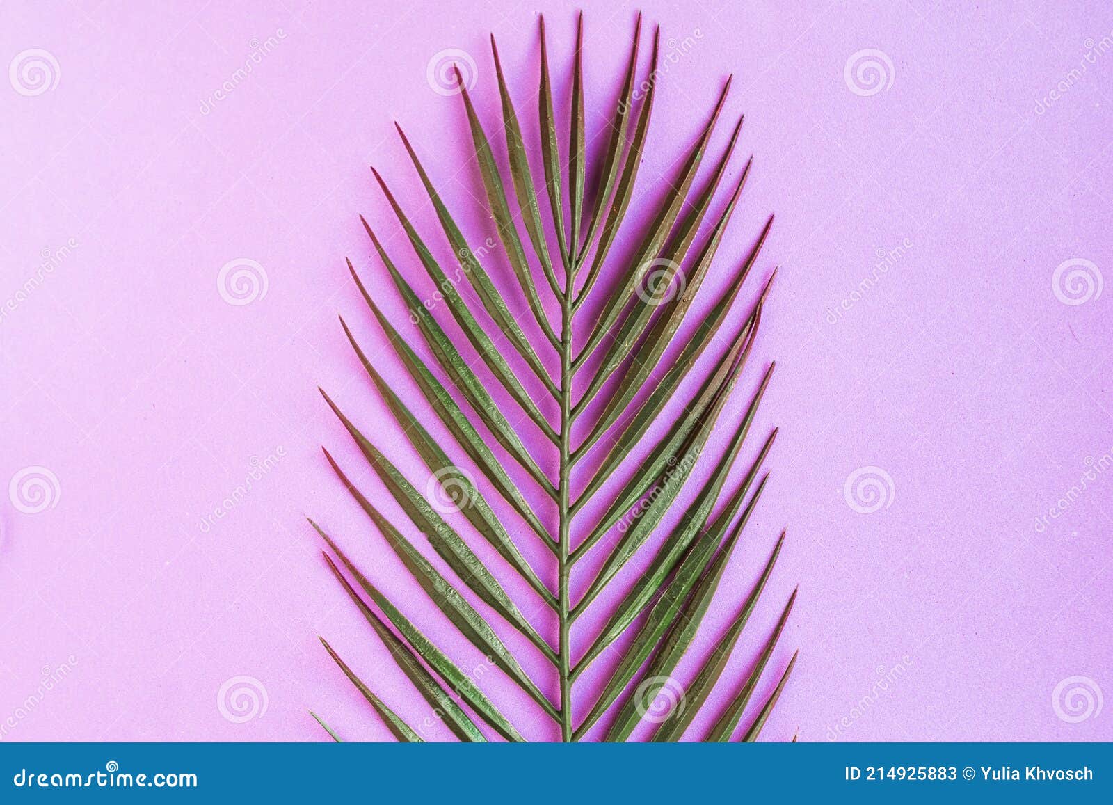 Green Palm Leaf Isolated on Purple Background. Stock Image - Image of