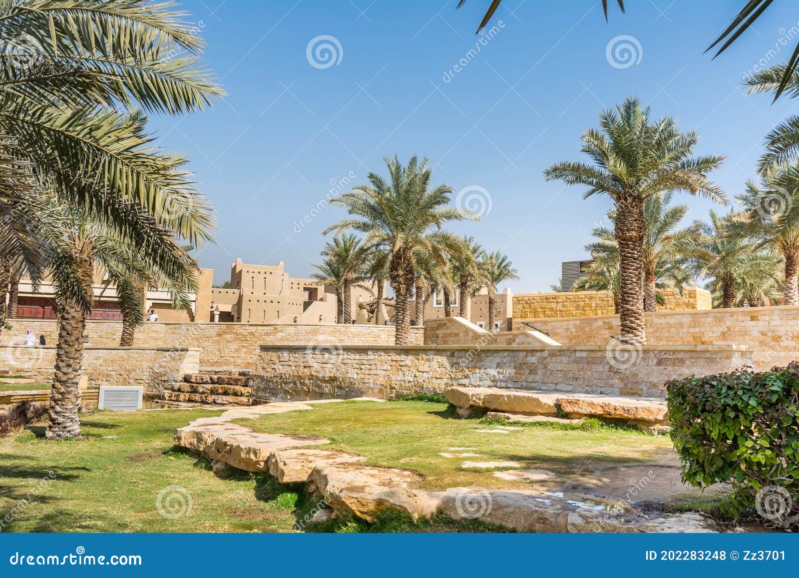 green palm trees growing in the park in the ruins of diraiyah, also as dereyeh and dariyya, a old town in riyadh, saudi arabia