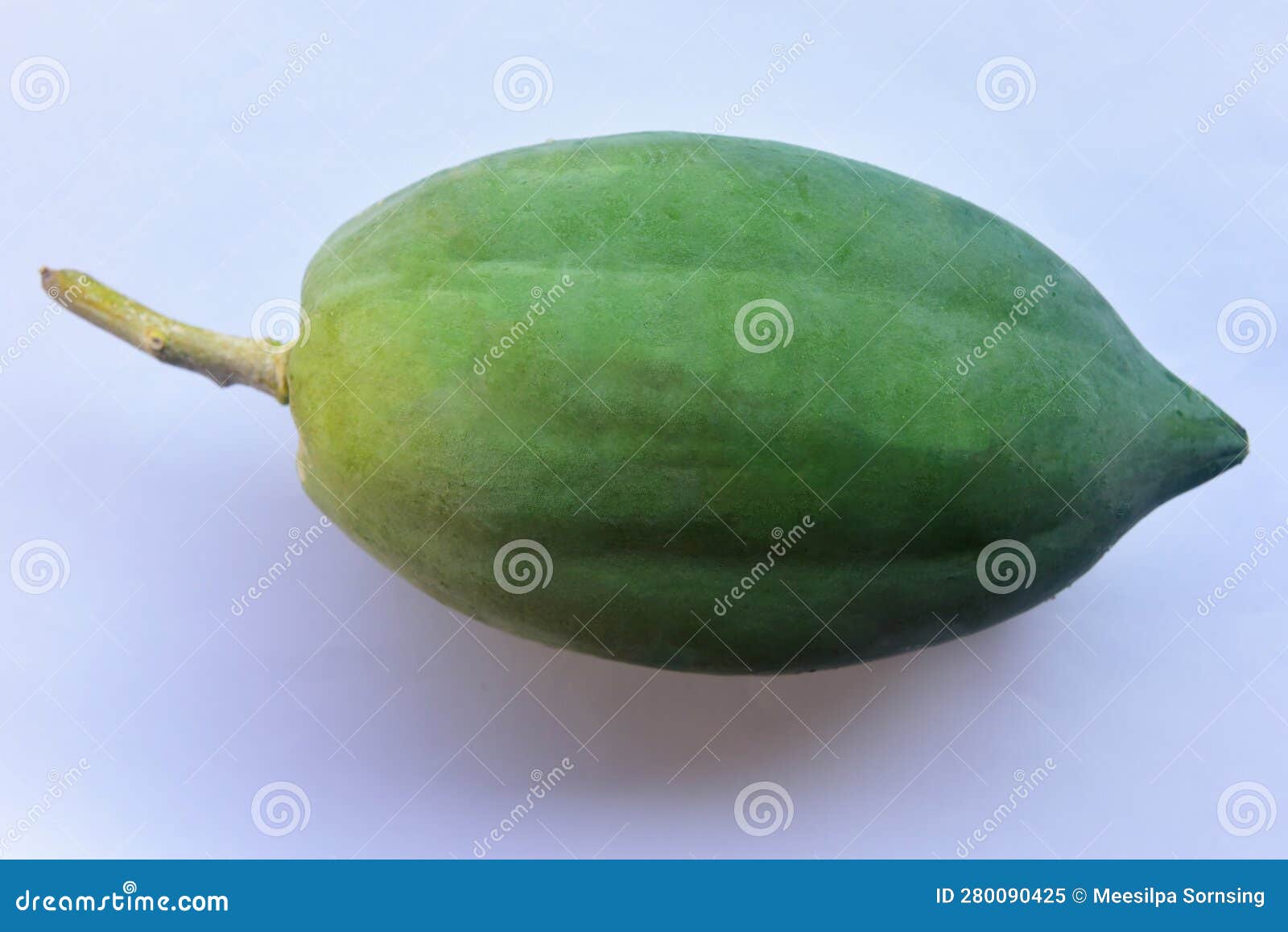 Green Papaya Isolated on White Background Stock Image - Image of season
