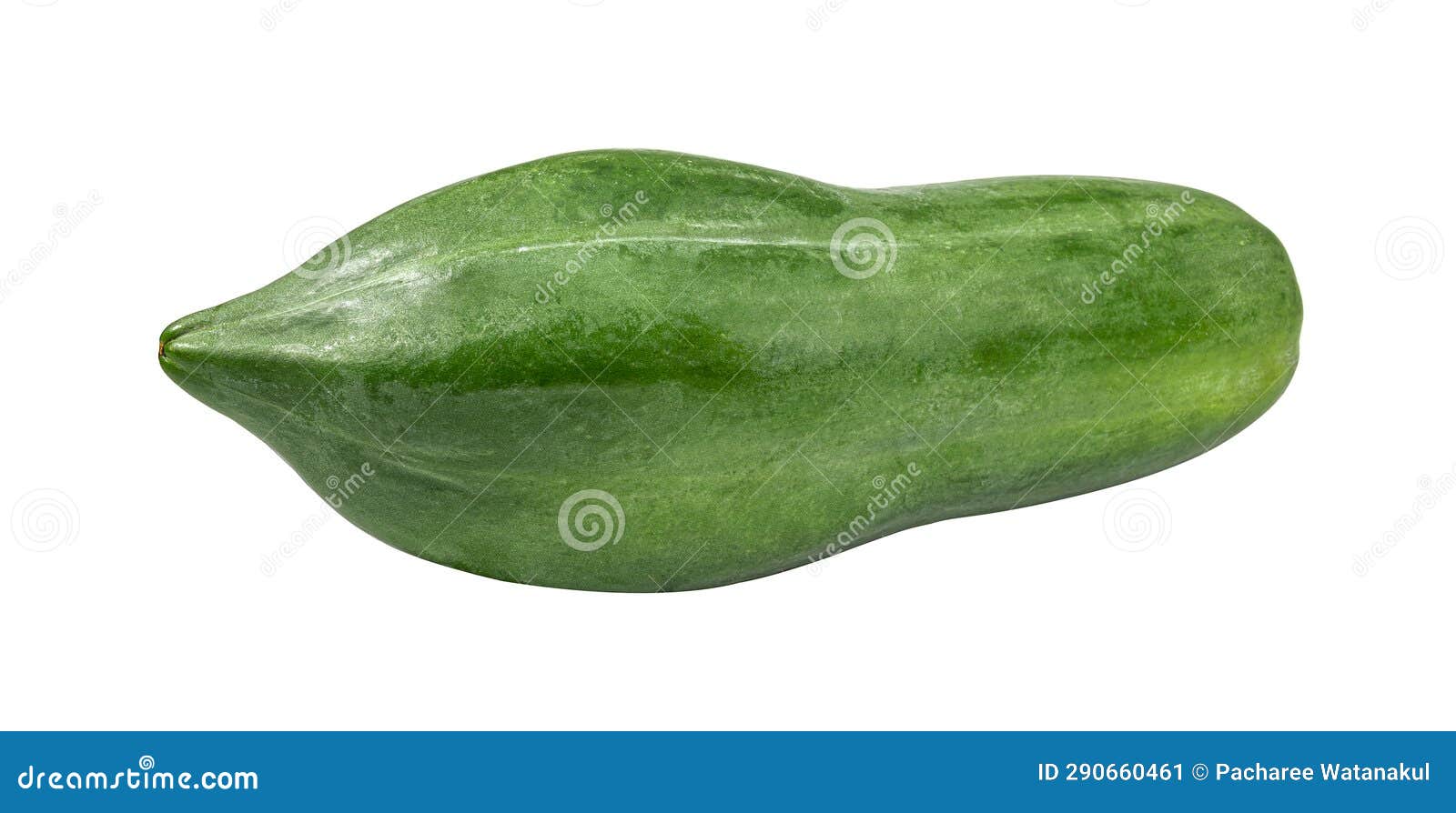 Green Papaya Isolated on White Background Stock Image - Image of
