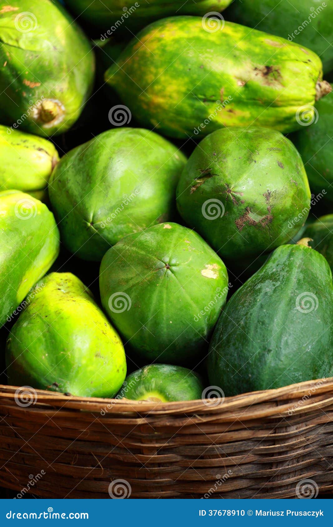 Green Papaya in Local Fruit Bazaar in India Stock Photo Image of diet