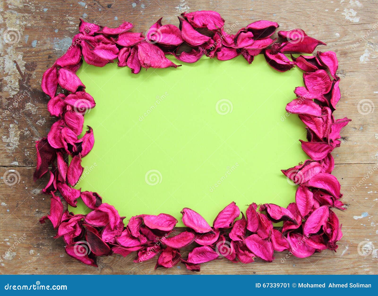 Green Paper with Dried Flower Stock Image Image of christmas, message