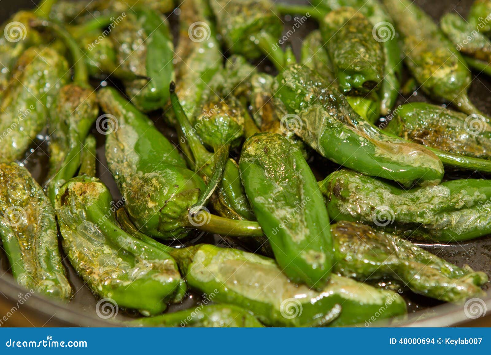 Green Paprika Pimento Patron Stock Photo Image of herria, cooking