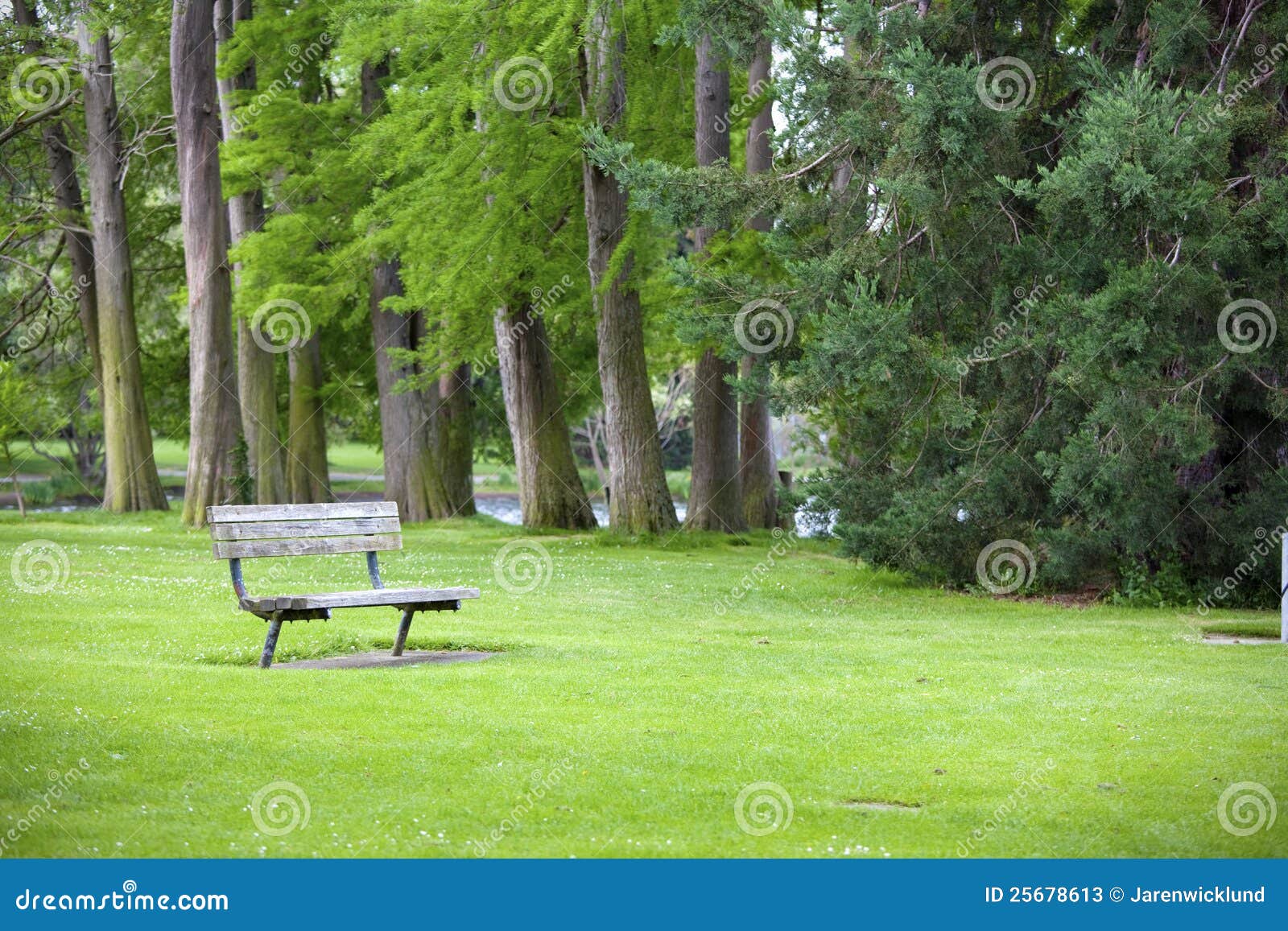 Green park with a bench stock image. Image of green, lawn 25678613