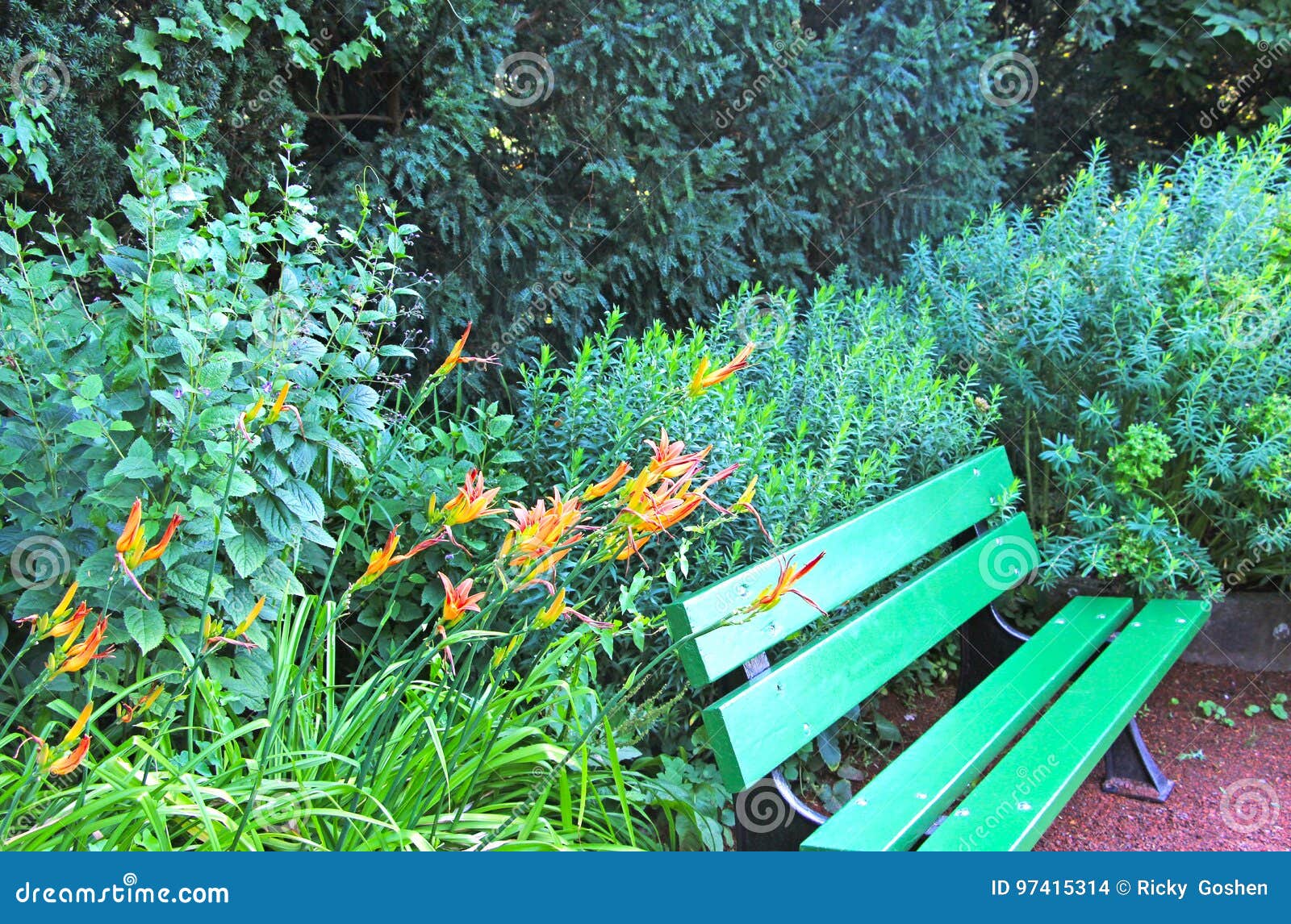 A green park bench stock photo. Image of horizontal, park 97415314