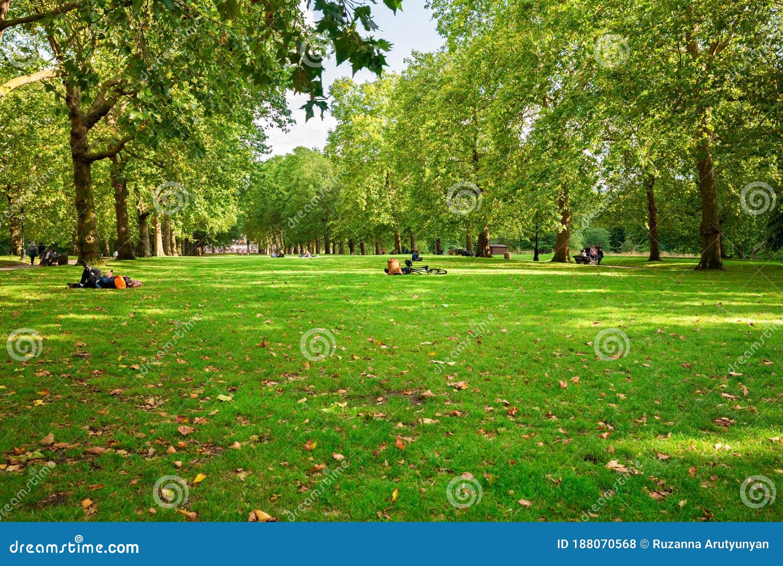 Green park in London editorial stock photo. Image of england - 188070568