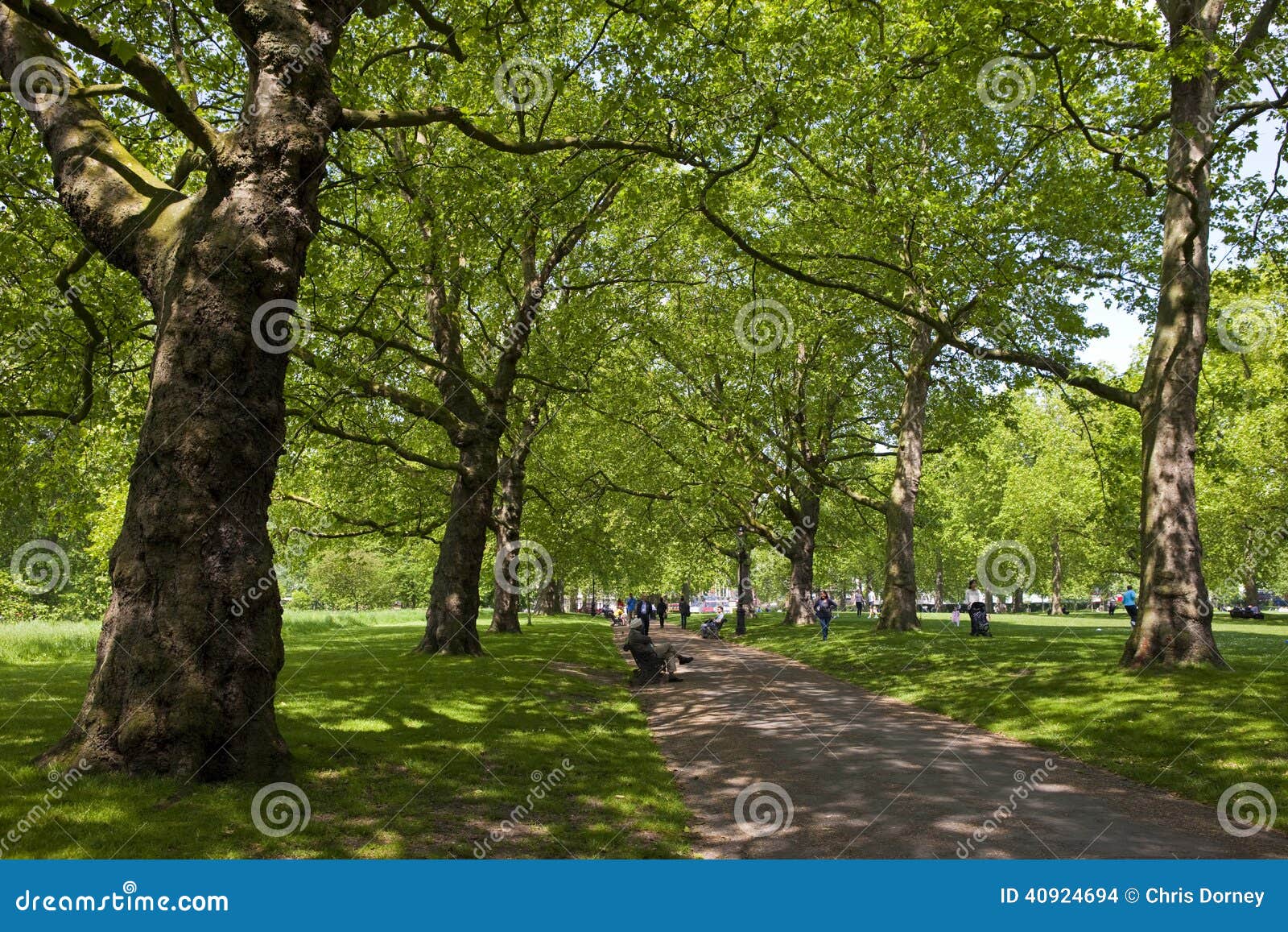 Green Park in London editorial stock image. Image of pathway - 40924694