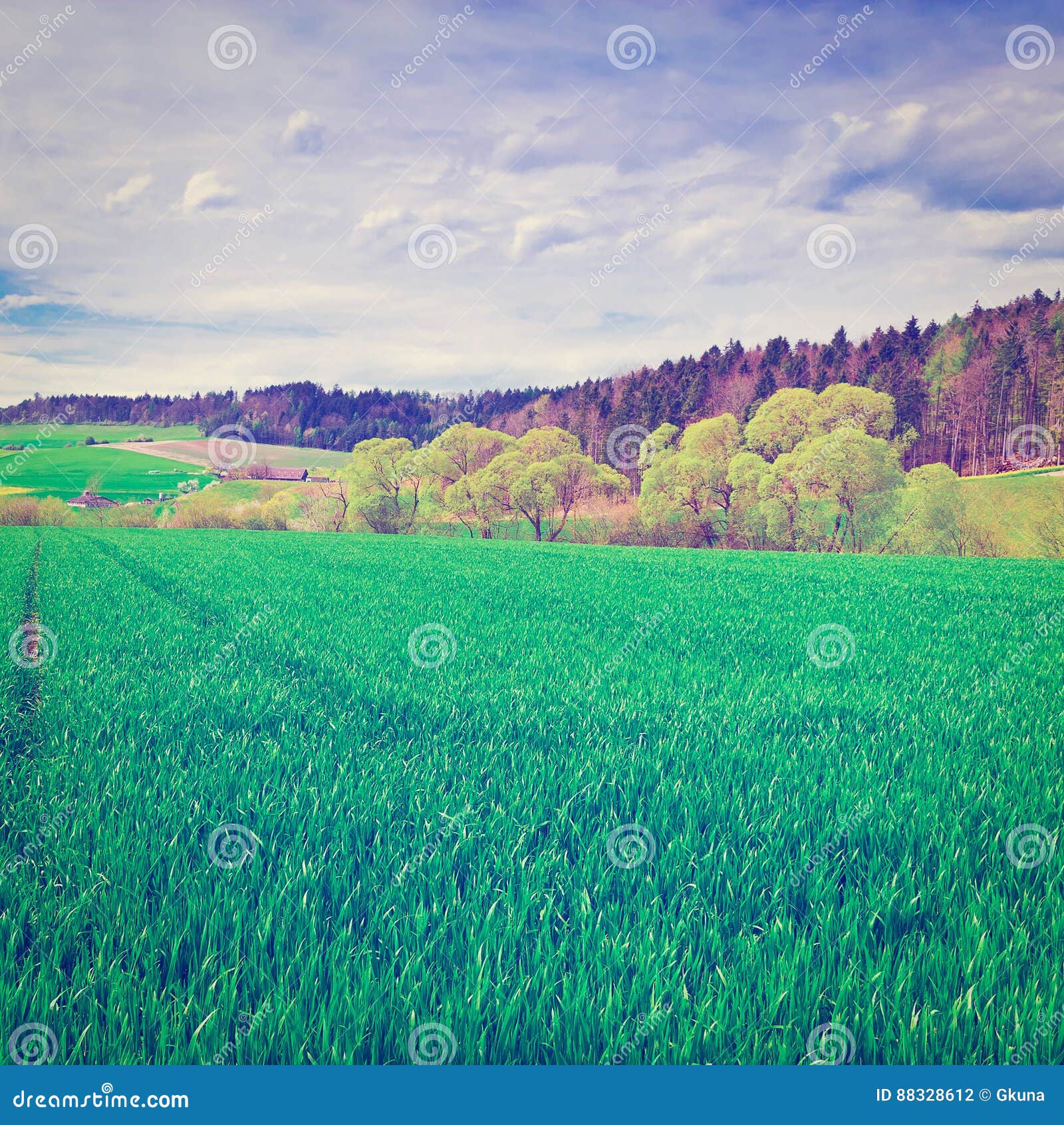 Green Pasture stock photo. Image of nature, clouds, field 88328612