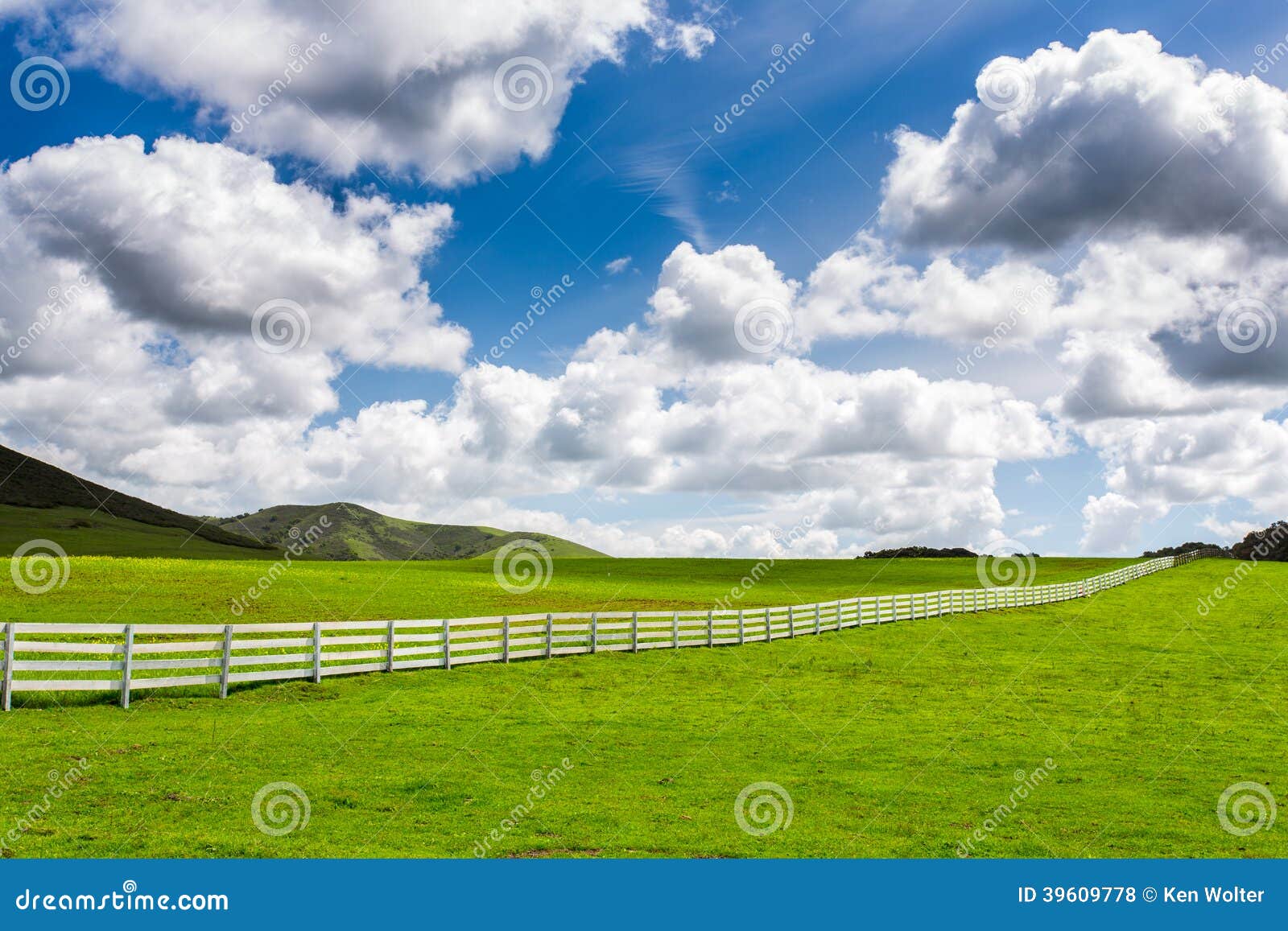 green pasture with white fence