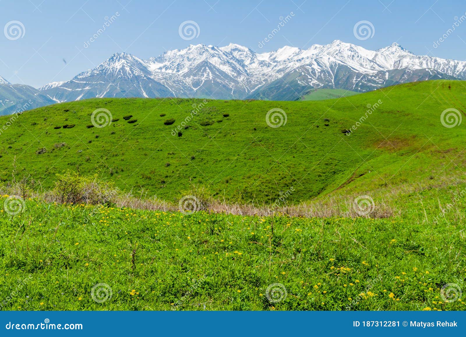 Green Pastures Above Alamedin Valley With High Snow Covered Mountains