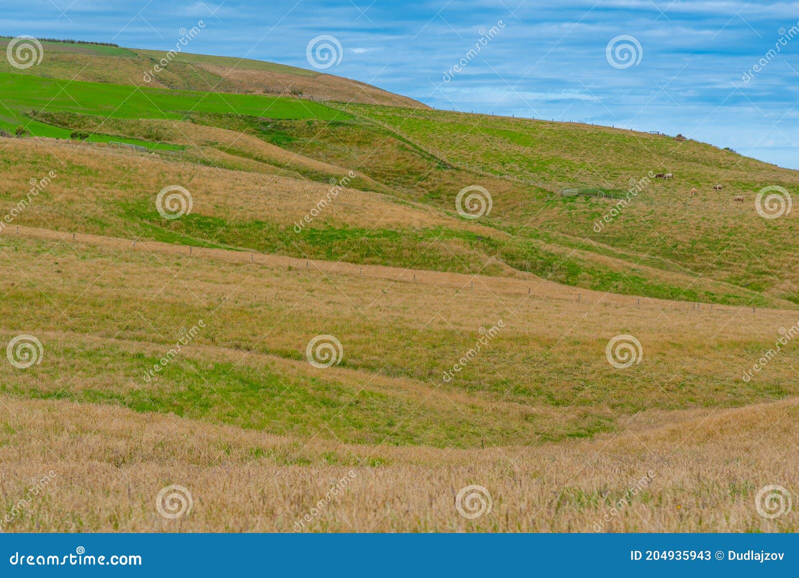 green pastures at caitlins region of new zealand