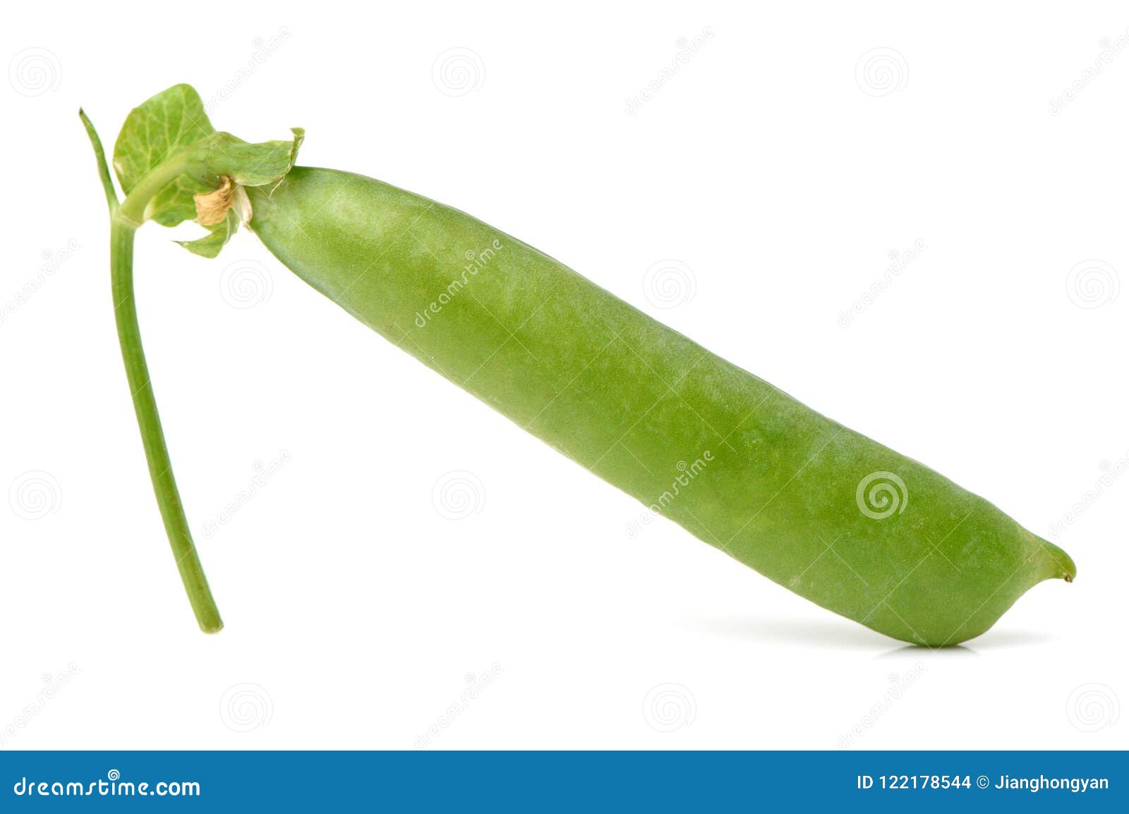 Green pea bean stock photo. Image of bean, eating, isolated 122178544