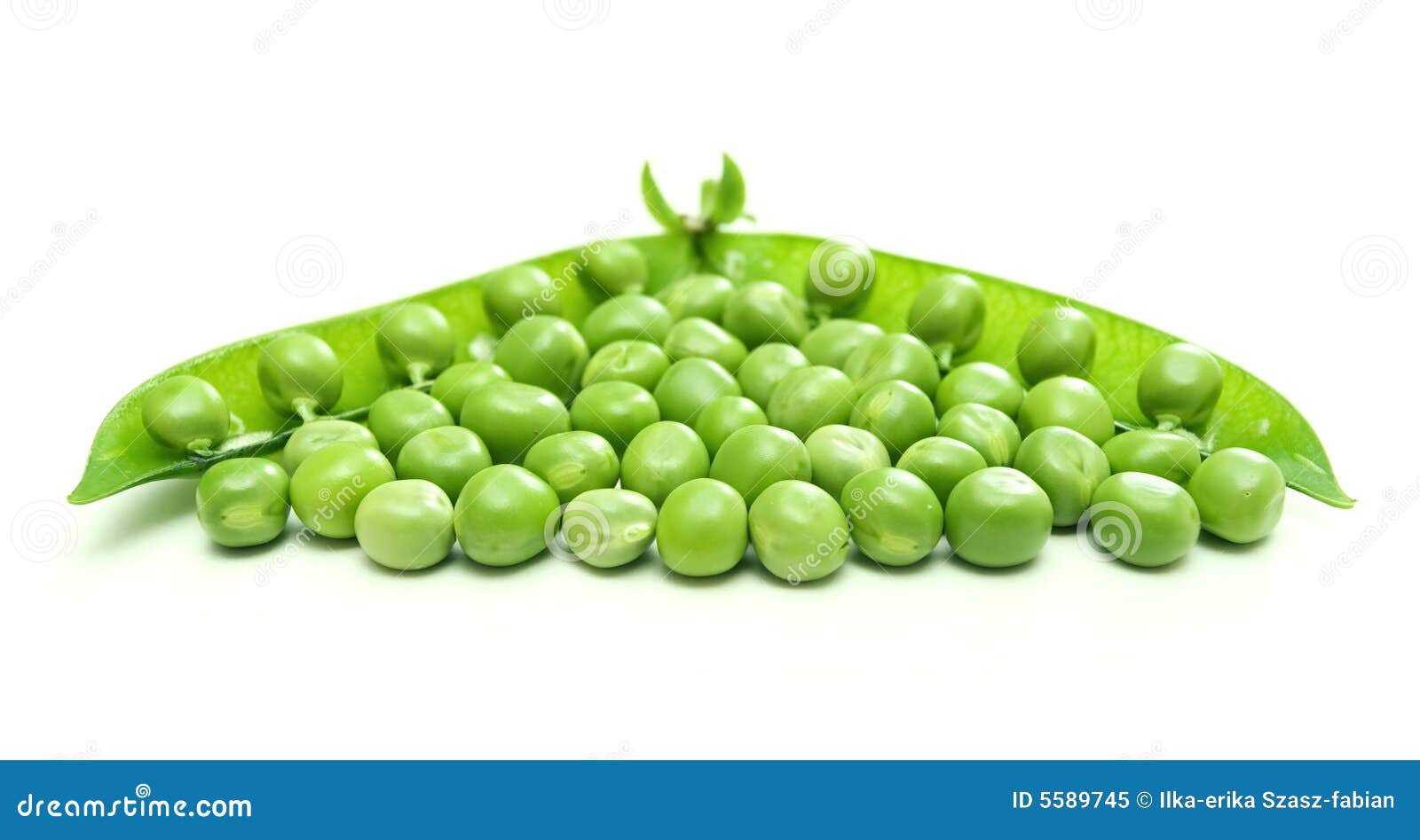 Green pea pod and seeds stock image. Image of vegetable 5589745