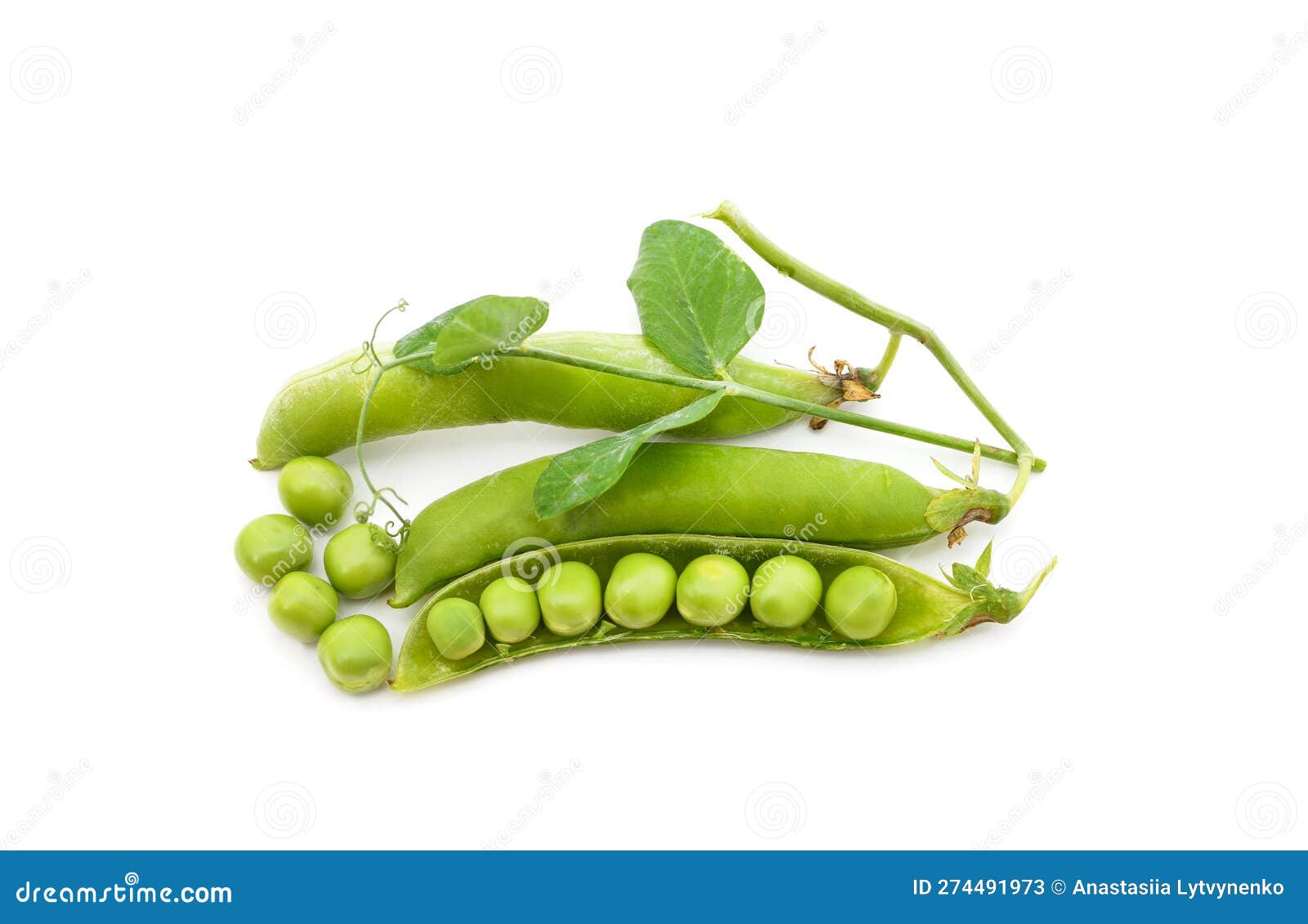 Green pea pods with leaves stock image. Image of legume 274491973