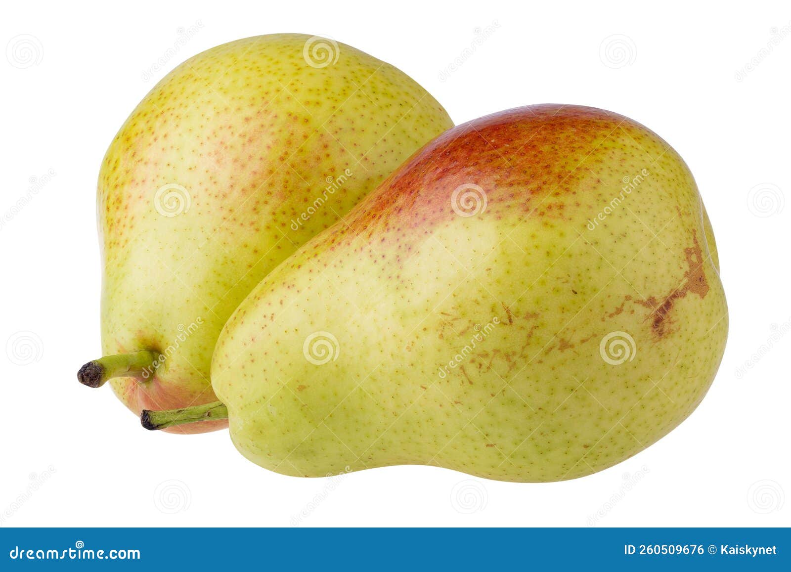 Green Pears Isolated on a White Background Stock Photo Image of white