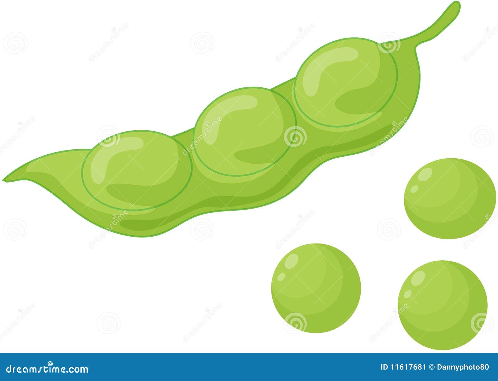 Green peas stock vector. Illustration of space, drawing 11617681