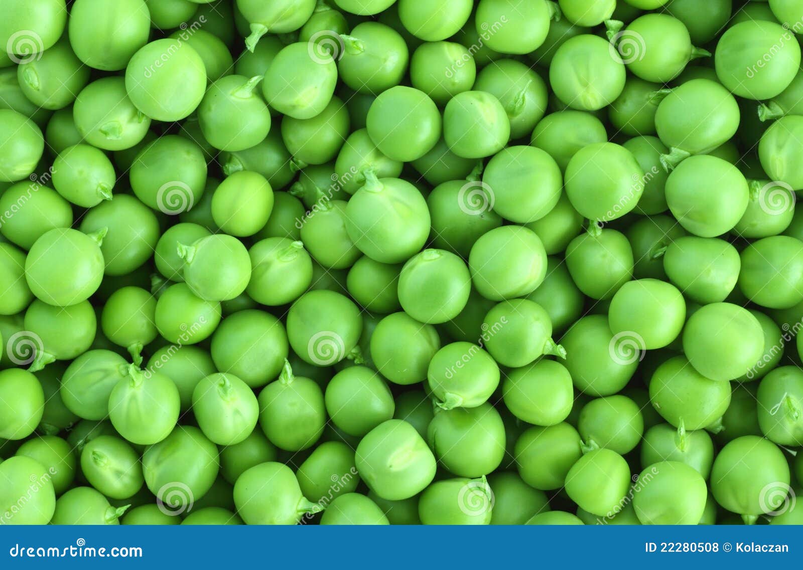 Green peas stock photo. Image of dieting, cooking, curve - 22280508