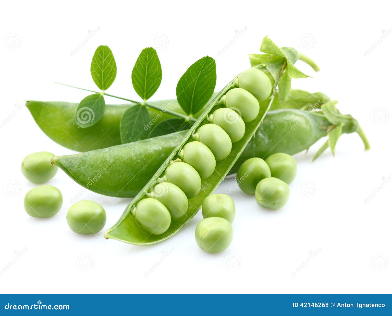 Green peas with leaves stock photo. Image of macro, young 42146268