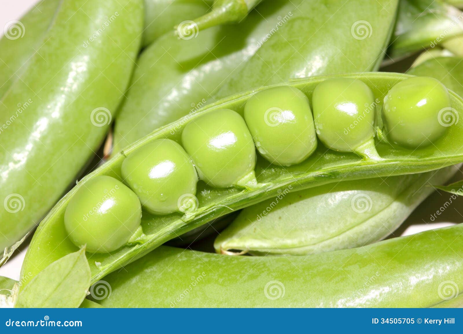 Green peas in pod stock image. Image of organic, cooking 34505705