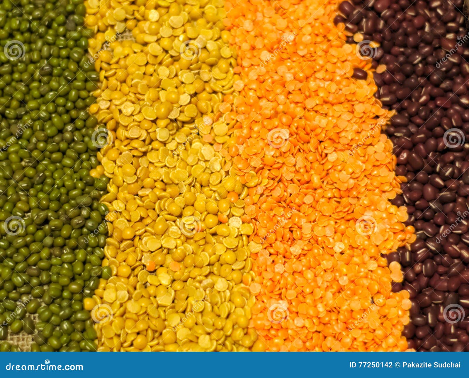 Green Peas, Split Peas, Red Lentils, and Red Beans Stock Photo Image closeup: 77250142