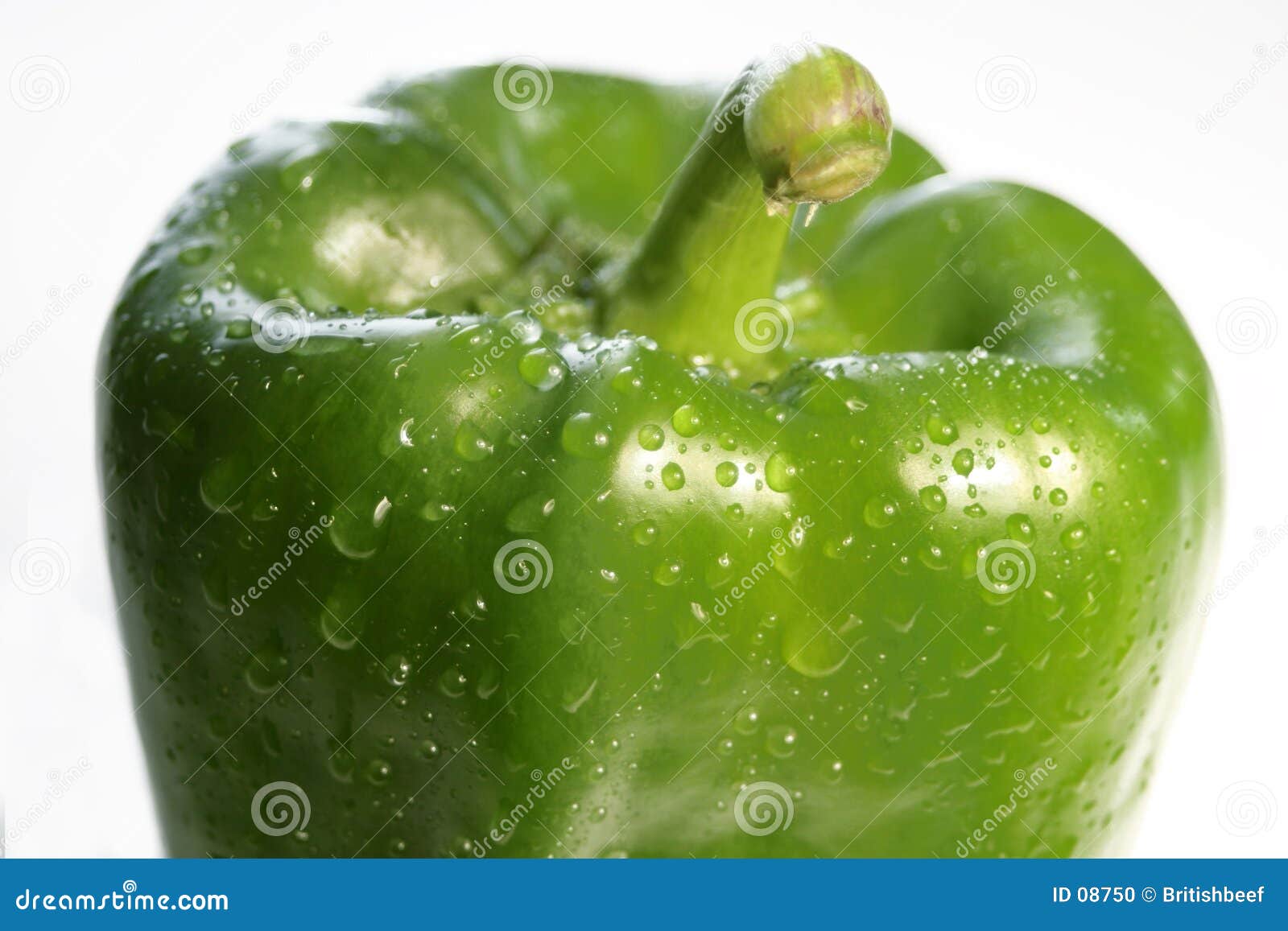 Green pepper stock photo. Image of pepper, juicy, still, vegetable 8750