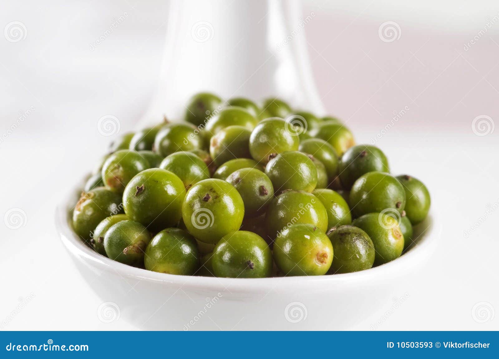 Green pepper berries stock image. Image of ingredient 10503593