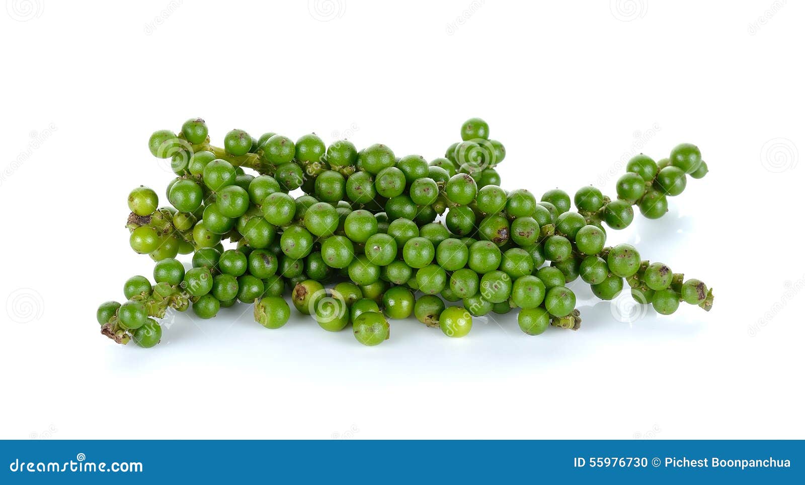 Green Peppercorns on the White Background Stock Photo Image of spicy