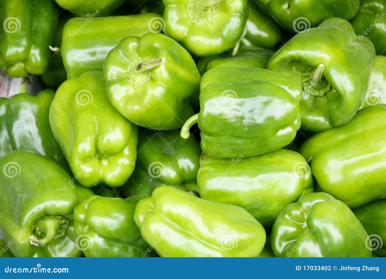 Raw Green Peppers Pimientos De Padron Traditional Spanish Tapas Stock