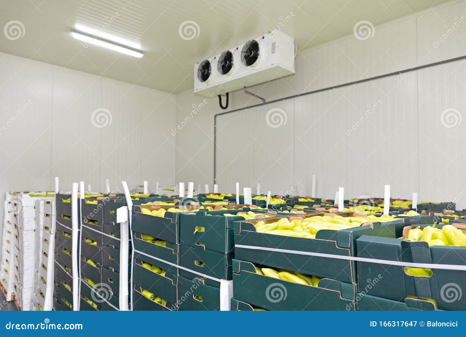 Green Peppers Fridge stock image. Image of equipment 166317647