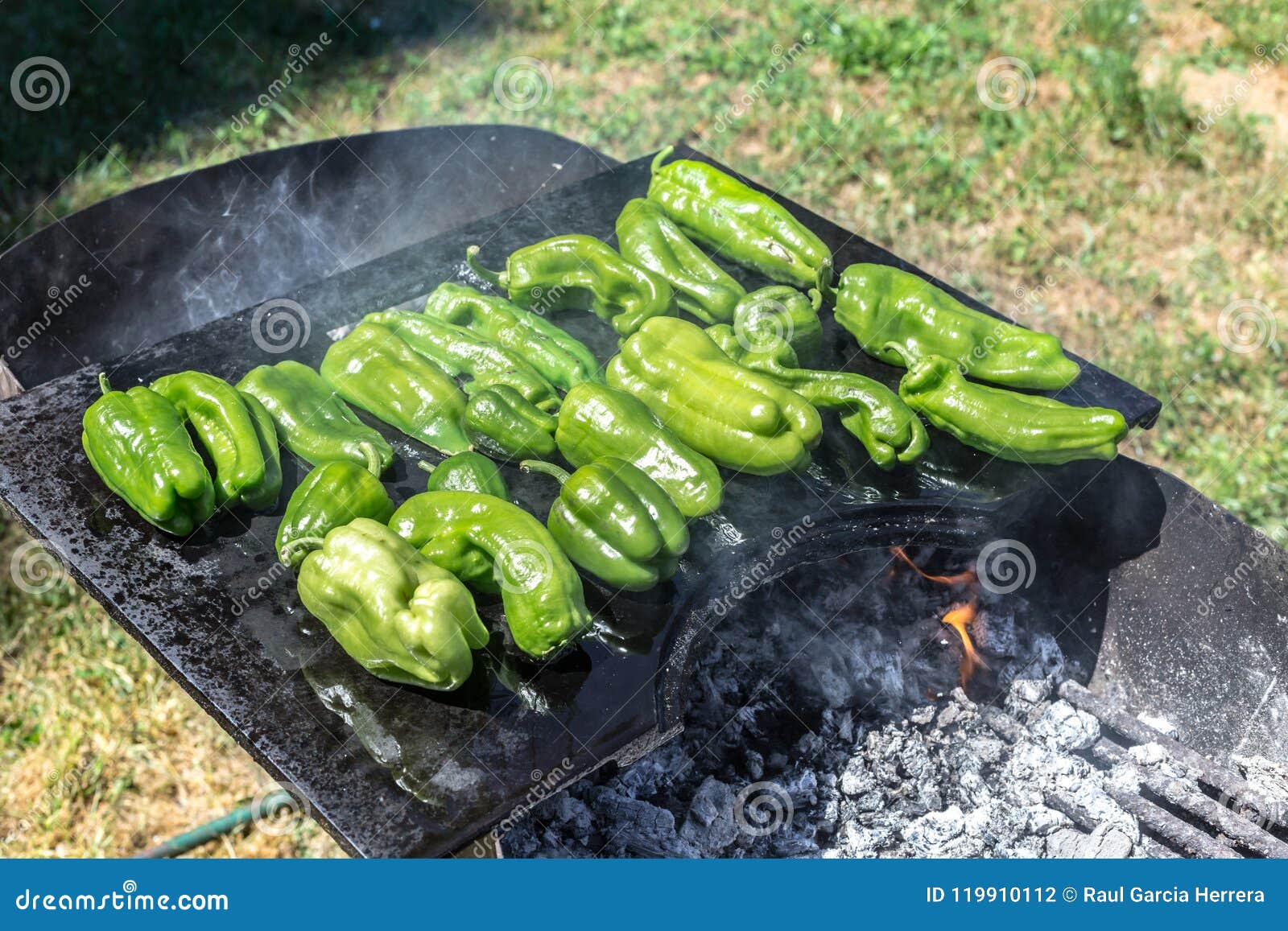 Green Peppers Grilling on the Barbecue. Barbecue Time in the Nature