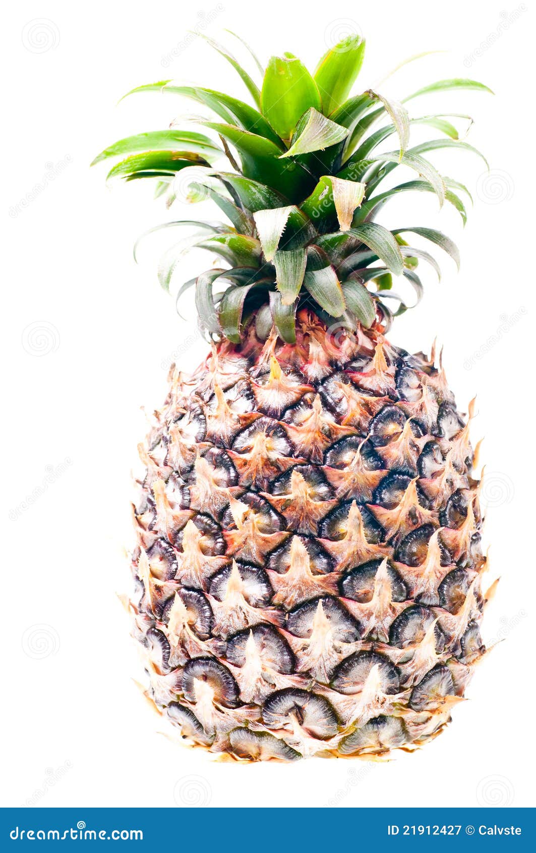 Green pineapple stock image. Image of green, color, delicious - 21912427