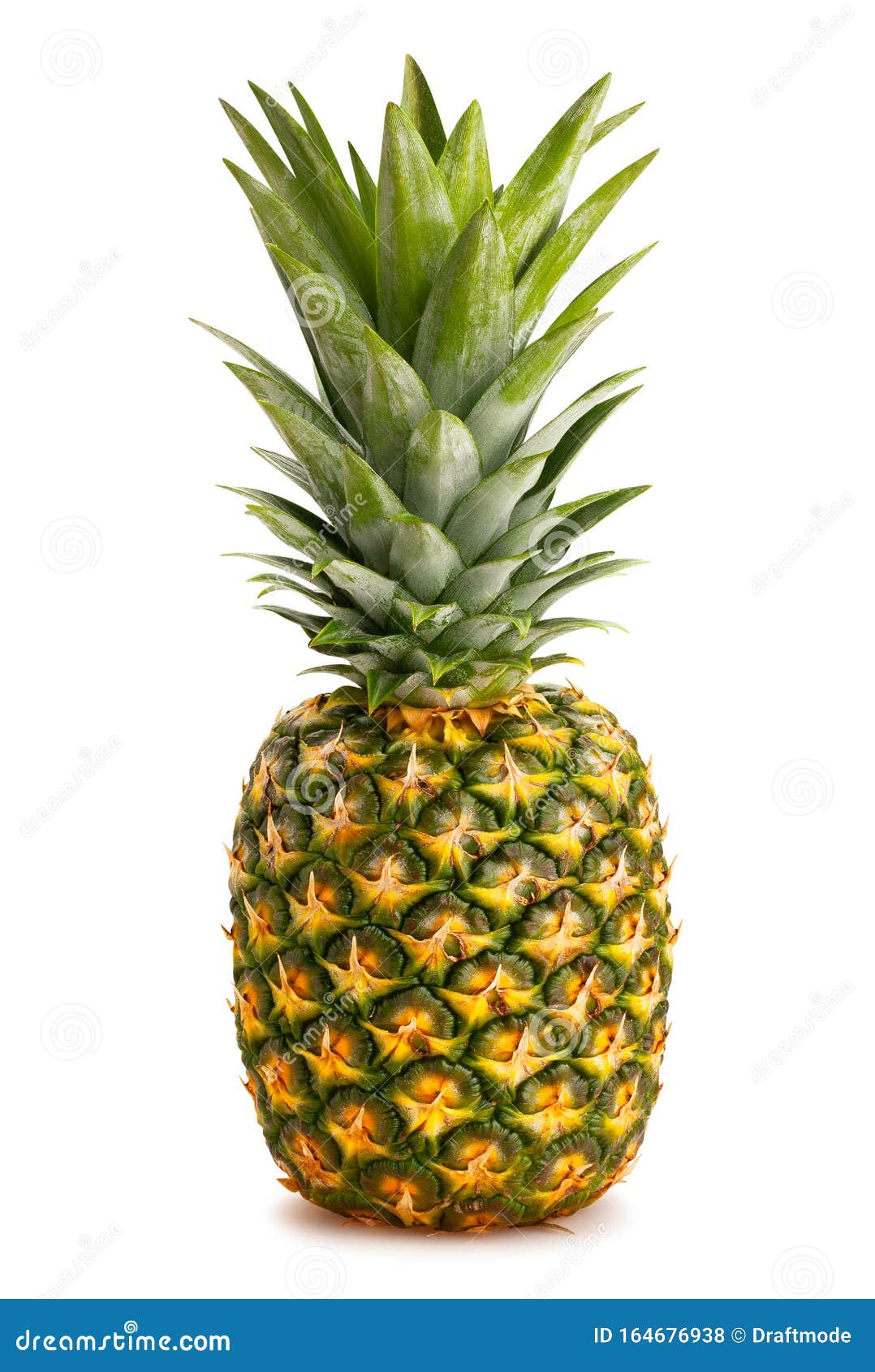 Green pineapple stock photo. Image of tasty, fruit, white 164676938