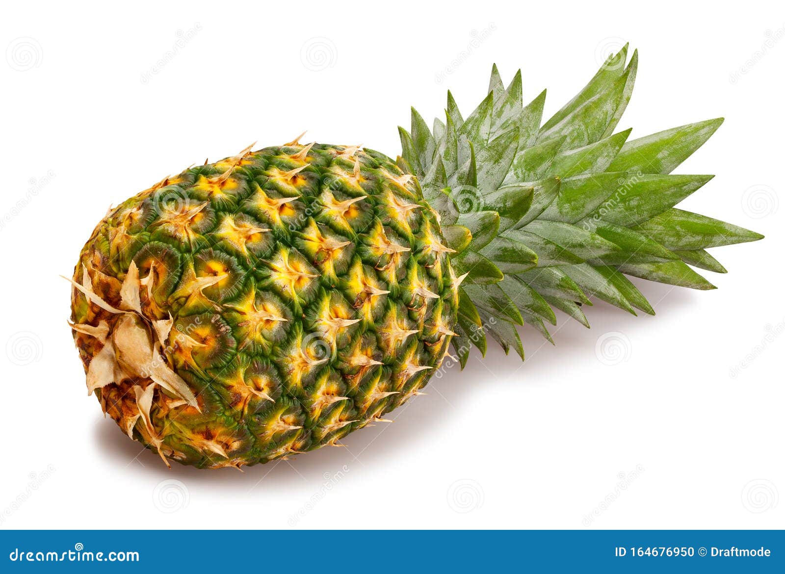 Green pineapple stock photo. Image of pineapple, antioxidant 164676950