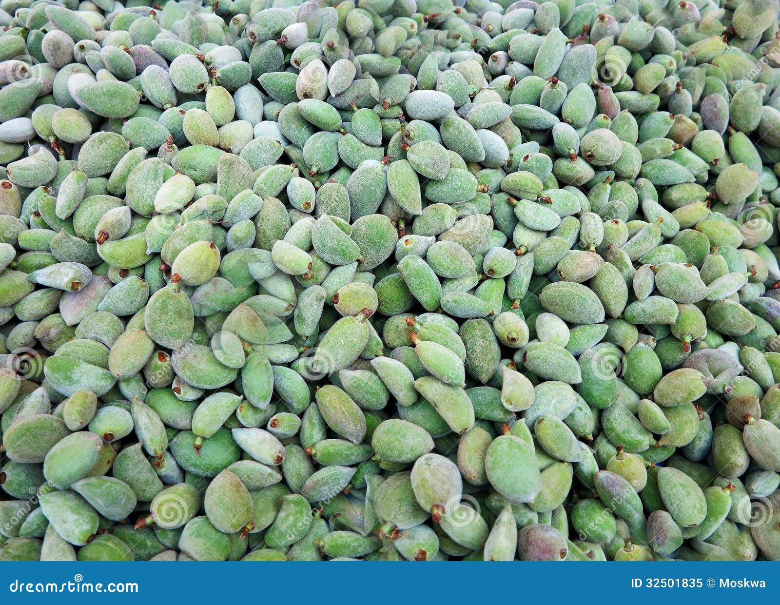 Green pistachios stock image. Image of natural, pistachio 32501835