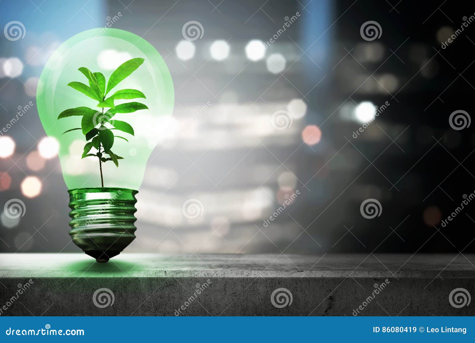 Green Plant Inside Light Bulb Stock Image Image of plant, ecosystem 86080419